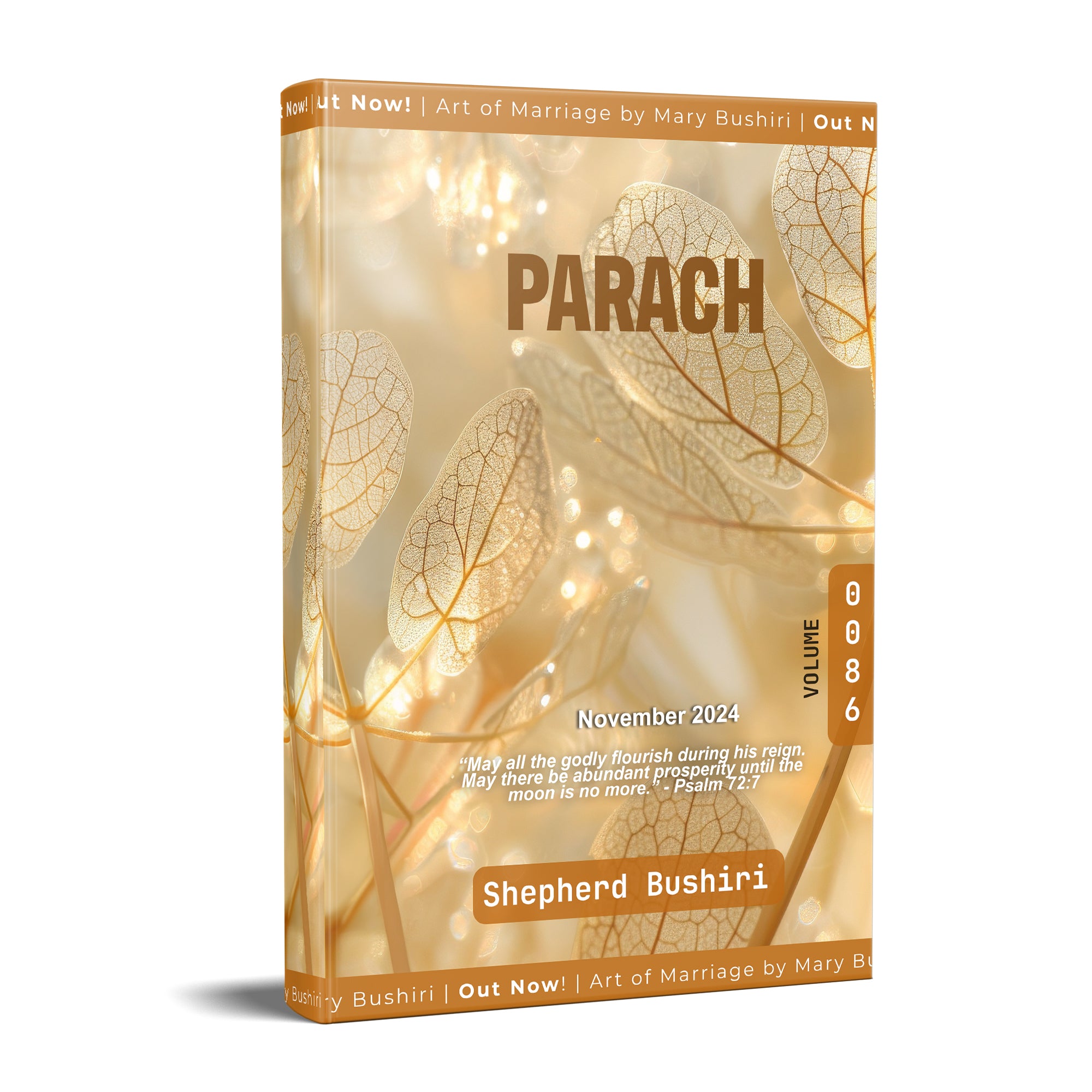 November Parach Daily Devotion 2024