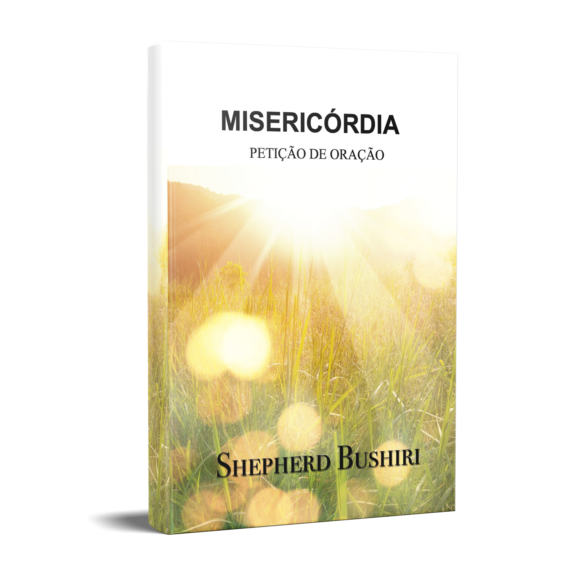 Mercy Prayer Petition Portuguese