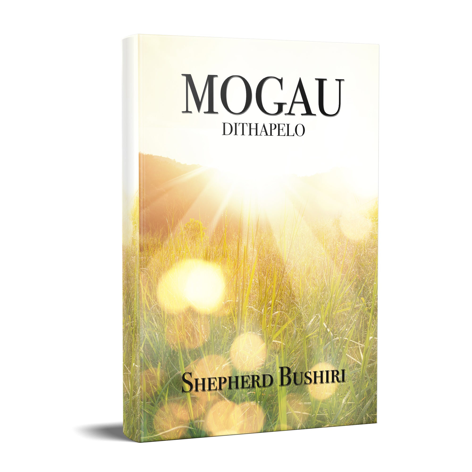 Mercy Prayer Petition - TShwana