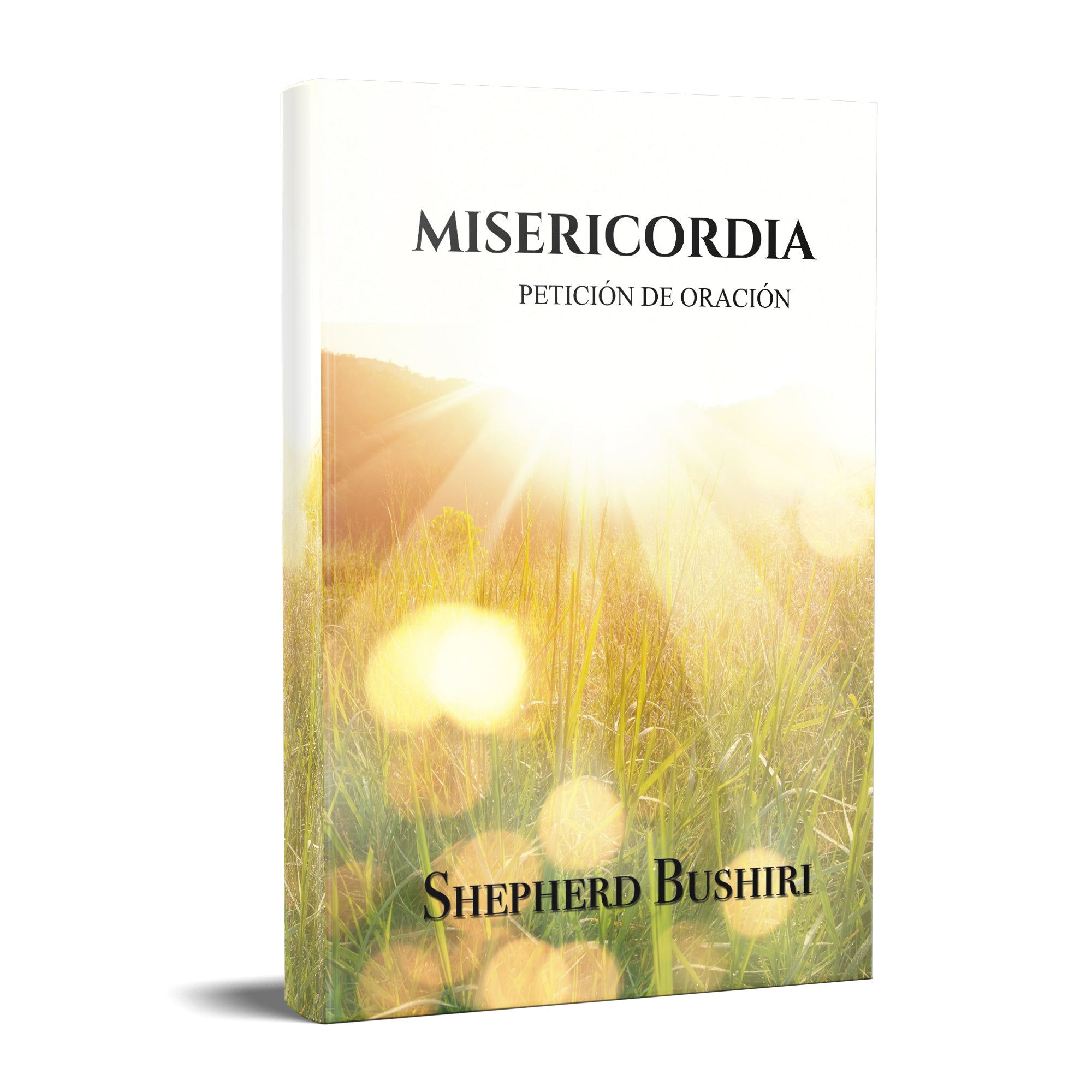 Mercy Prayer Petition - Spanish