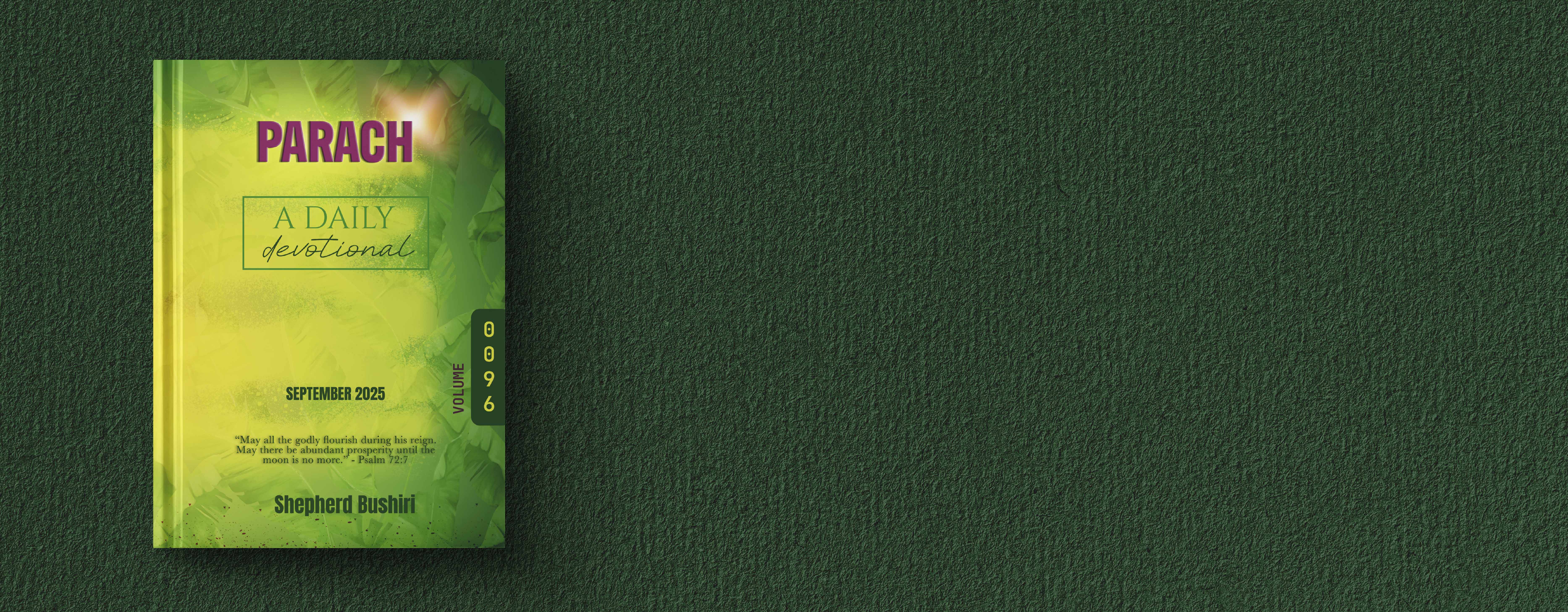 Slider Image