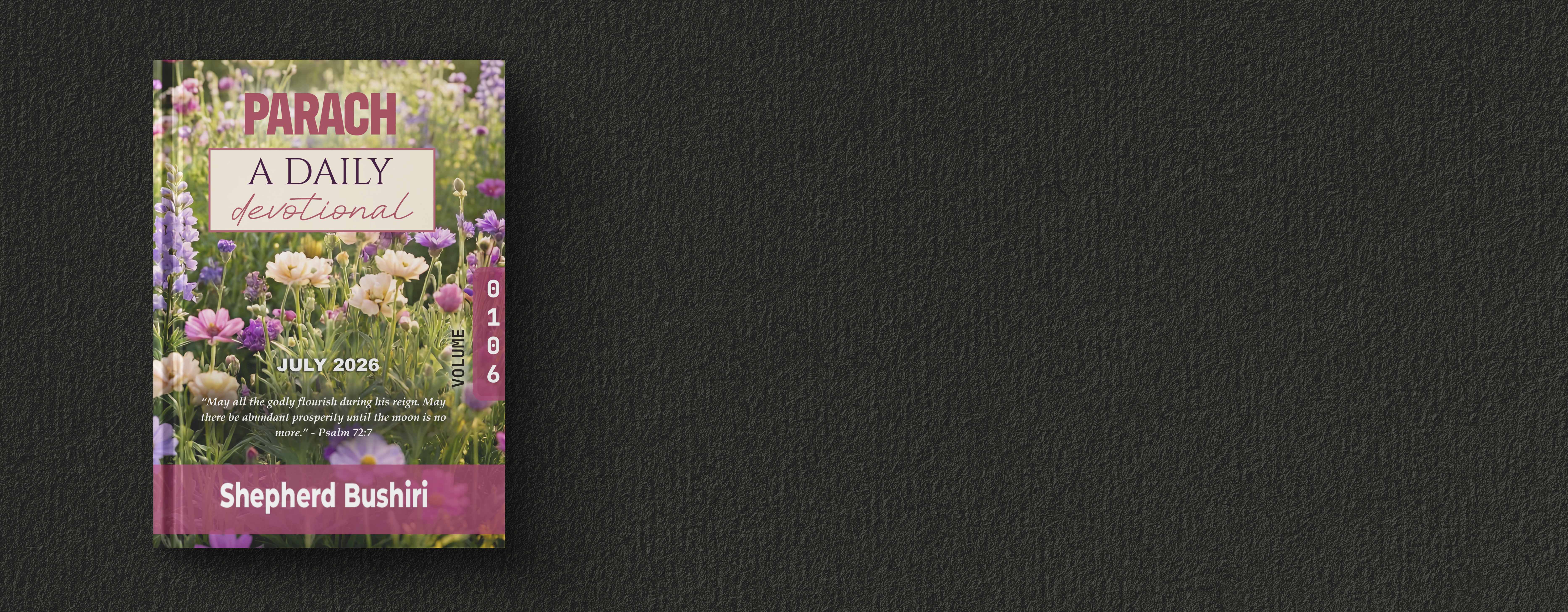 Slider Image