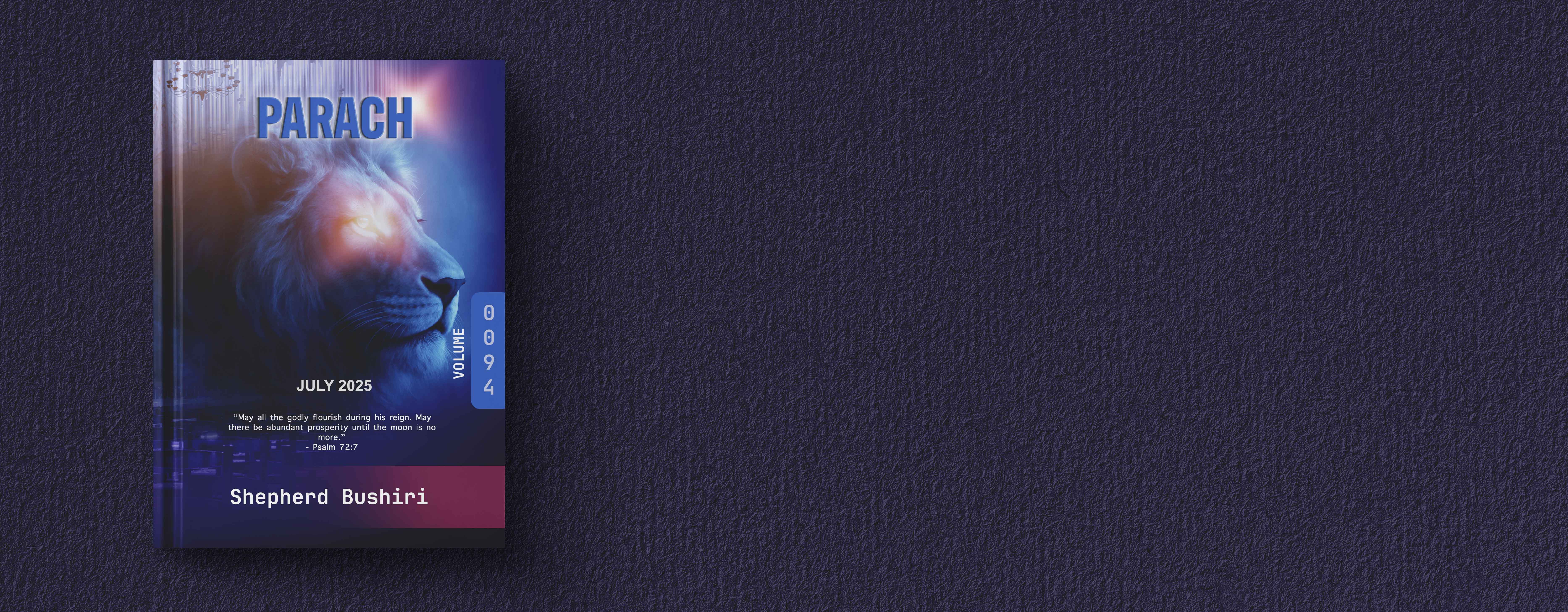 Slider Image