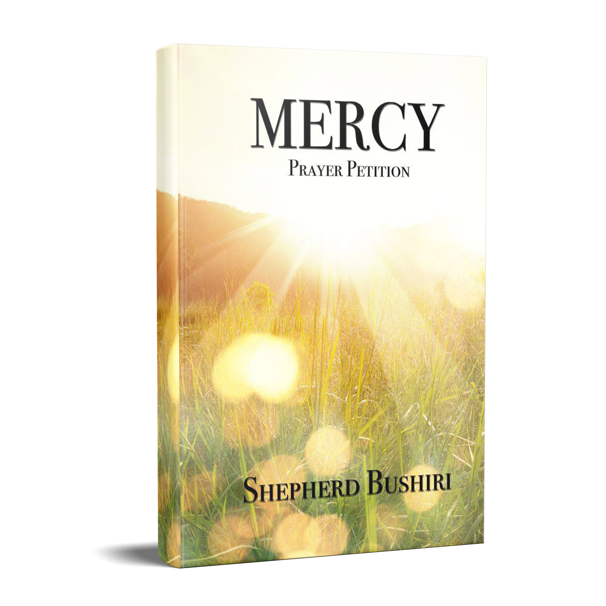 Mercy Prayer Petition
