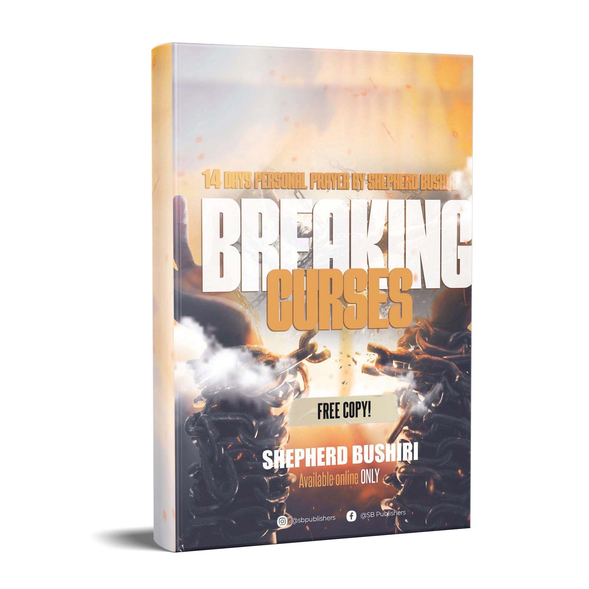 14 DAYS PERSONAL CURSE BREAKING PRAYERS Free Copy