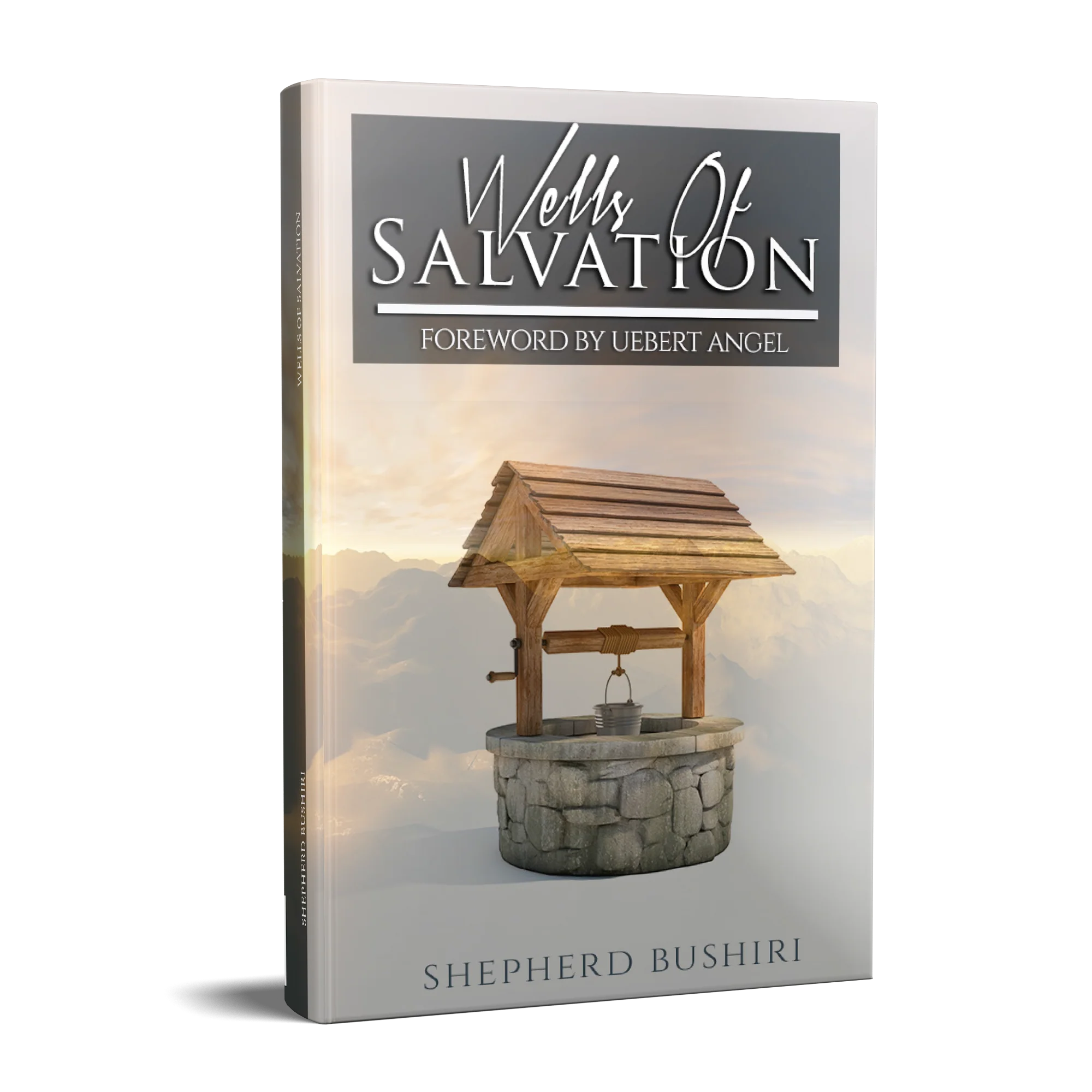 Wells of Salvation Audio Book